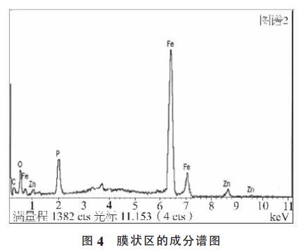 膜狀區的成分譜圖