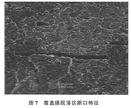 覆蓋膜脫落區斷口特征